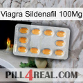 Viagra Sildenafil 100Mg cialis3